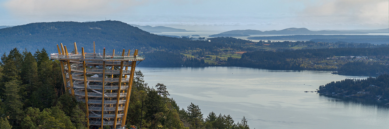 Top Things To Do in Victoria, BC During Spring (2024) Black Ball